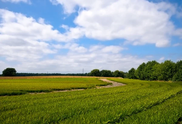 Terras agrícolas verdes brilhantes — Fotografia de Stock