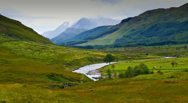 stock image Colorfull green valley