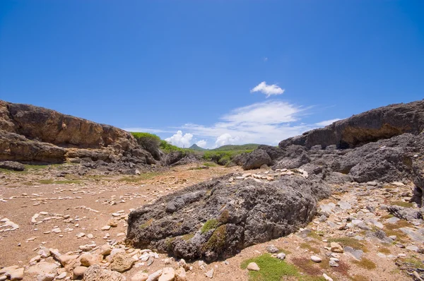 Stock image Rocky shore shete boca national park