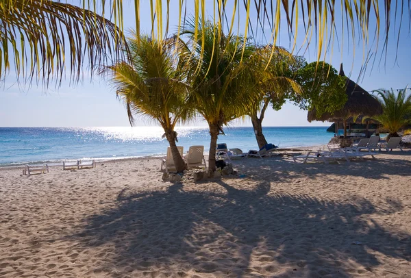Красивая пляжная сцена с пальмами — стоковое фото