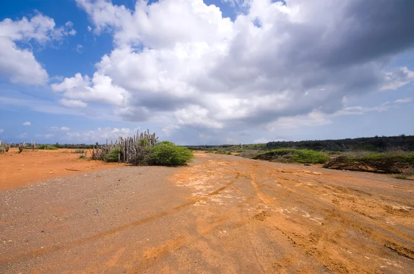 stock image Hato plateau curacao