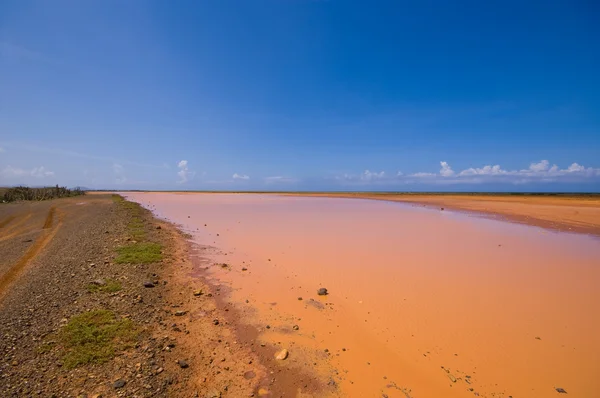 stock image Dryout salina lake of hato plateau