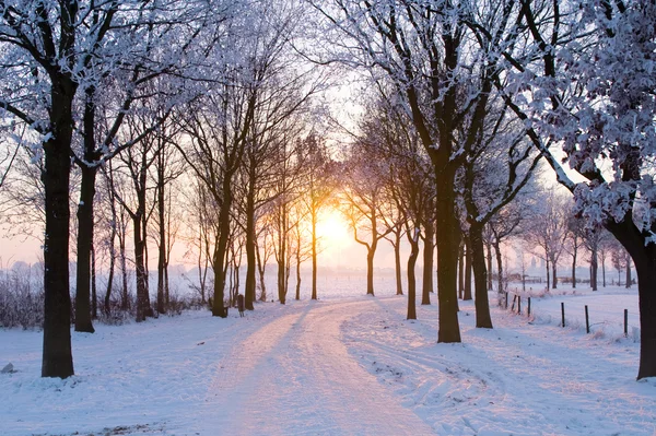 Puesta de sol invierno — Foto de Stock