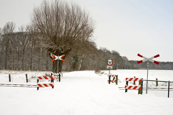 stock image Snowy railway track and signs