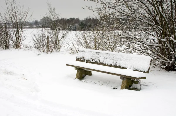 Скамейка в снежном парке — стоковое фото