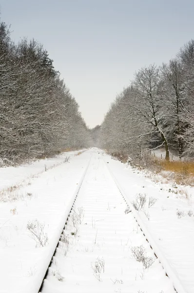 Neige et chemin de fer avec ciel bleu pâle — Photo