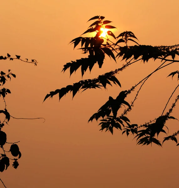 Zonsondergang sihouette — Stockfoto
