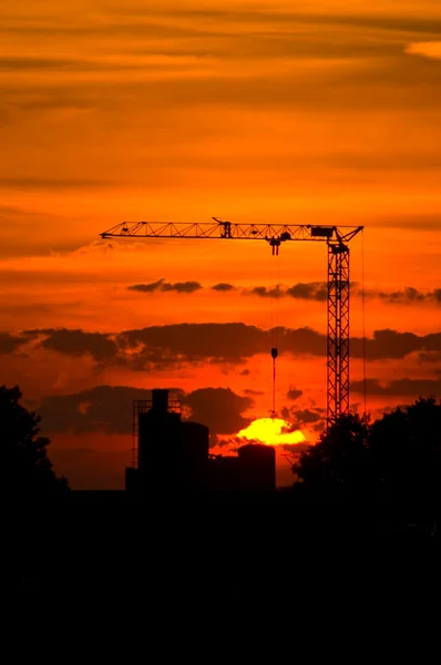 stock image Crane sunset