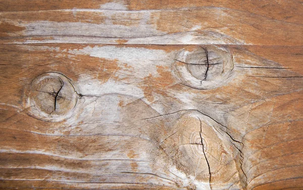 Pannello in legno temprato 2 — Foto Stock
