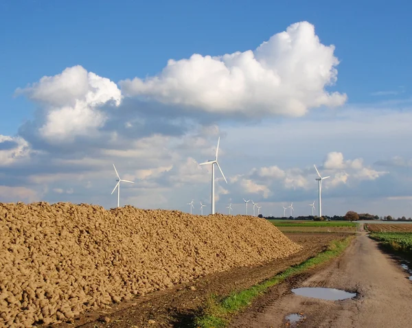 stock image Windmill park with stack of sugar beet