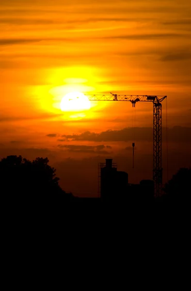 Crane sunset — Stock Photo, Image
