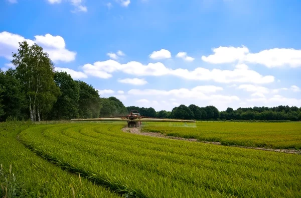 Helder groene landbouw landbouwgrond — Stockfoto
