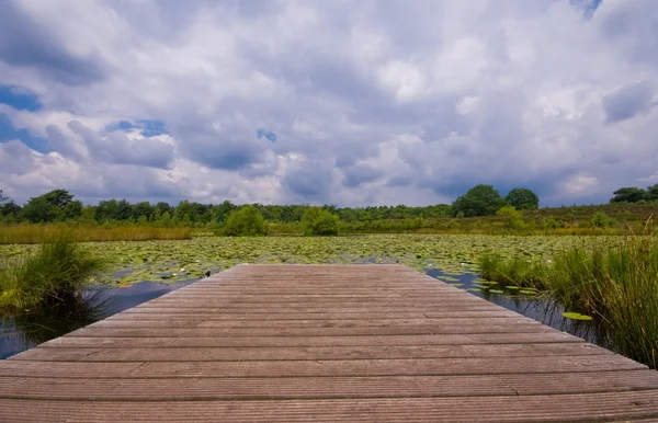 雲と睡蓮の池 — ストック写真