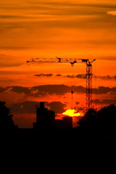 Crane sunset — Stockfoto