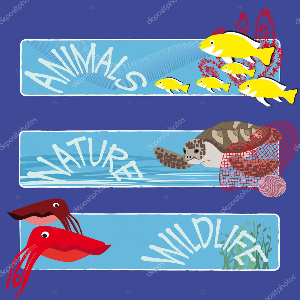 Fish banners 4 Stock Vector by ©karinclaus 2383561