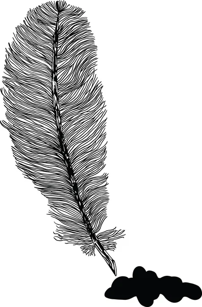 Ilustración de pluma — Vector de stock