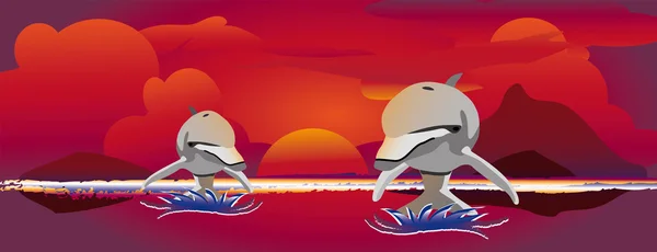 Sonnenuntergang springende Delfine — Stockvektor