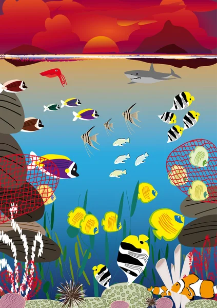 日没の水泳の魚 — ストックベクタ