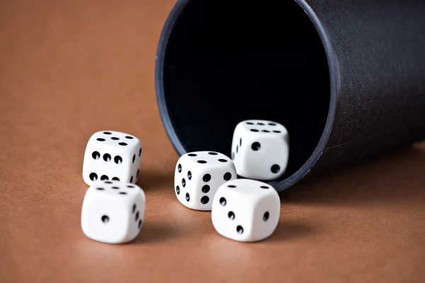 Gambling game casino cubes and cup — Stock Photo, Image