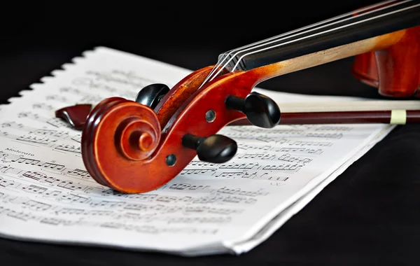 ヴァイオリン音楽の古典的な弦楽器 — ストック写真