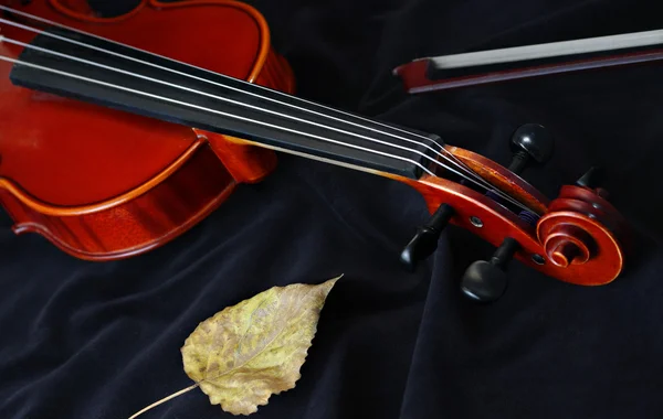 Keman müziği klasik yaylı çalgılar — Stok fotoğraf