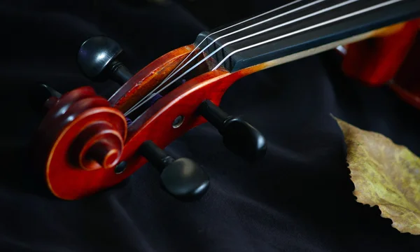 Fiol musik klassiska stränginstrument Royaltyfria Stockbilder