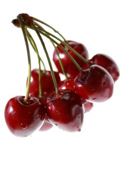 Cherry on white backgrownd clipart