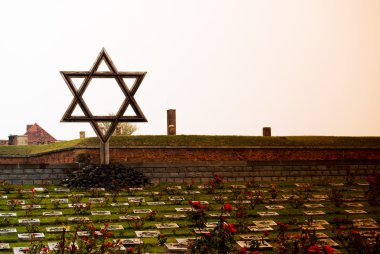 Jewish star in cemetery in Terezin clipart