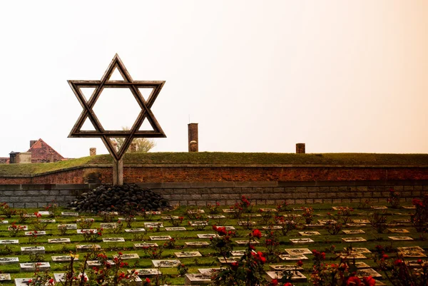 Jüdischer Stern auf Friedhof in Terezin Stockbild