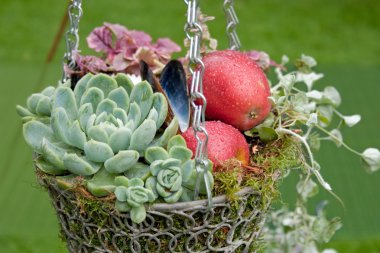 Autumnal Decorational hanging basket clipart