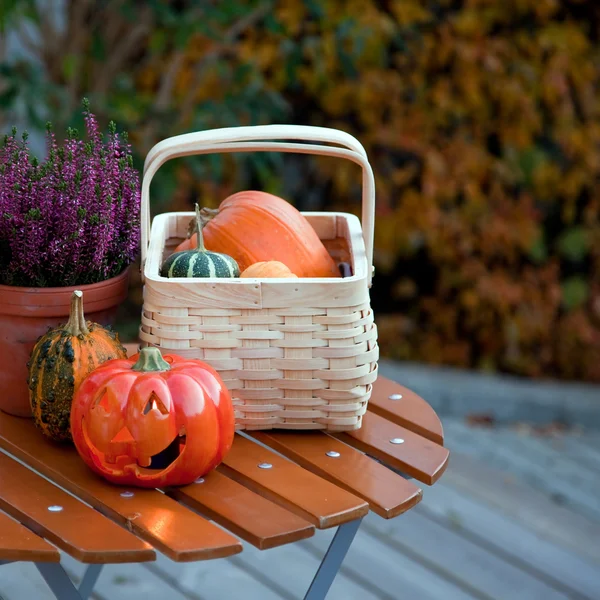 Jesień w ogrodzie — Zdjęcie stockowe