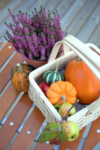 Herfst oogst — Stockfoto