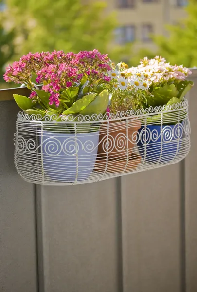 Balcón cesta de flores —  Fotos de Stock