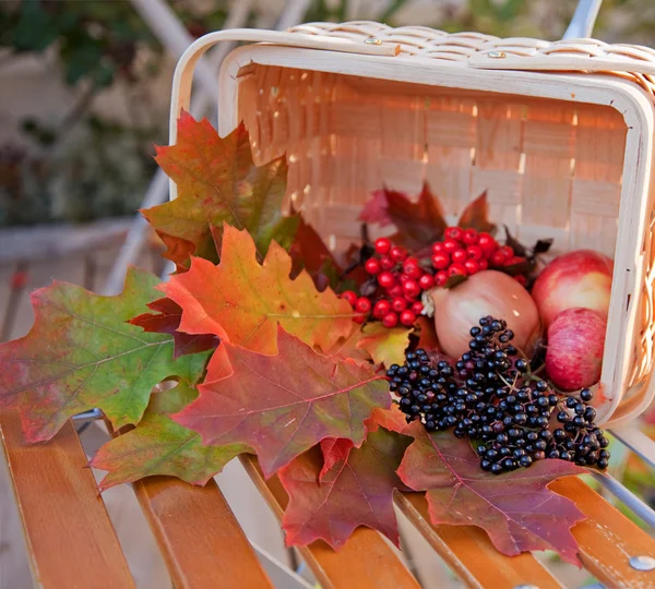 Cesta con hojas y bayas de otoño —  Fotos de Stock