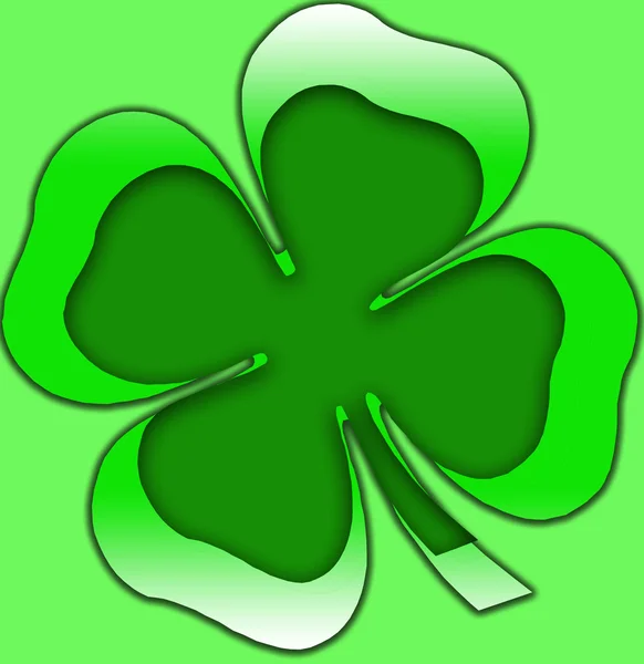 Ирландский зелёный клевер — стоковое фото