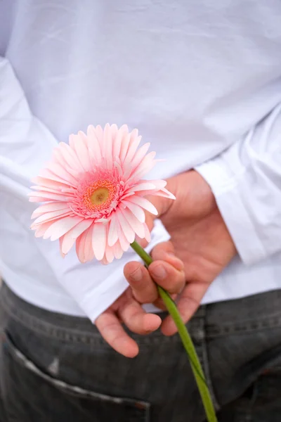 Mann hält Blume hinter seinem Rücken — Stockfoto