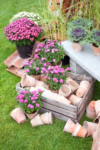Pots de jardin — Photo