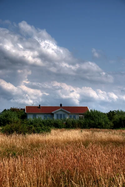 Huis naast een veld — Stockfoto
