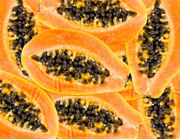 Papaya frukt Stockbild