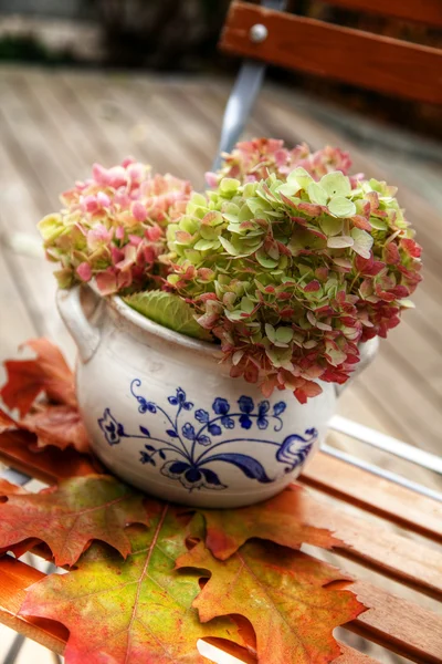 Lovely old pot with flowers — Stock Photo, Image