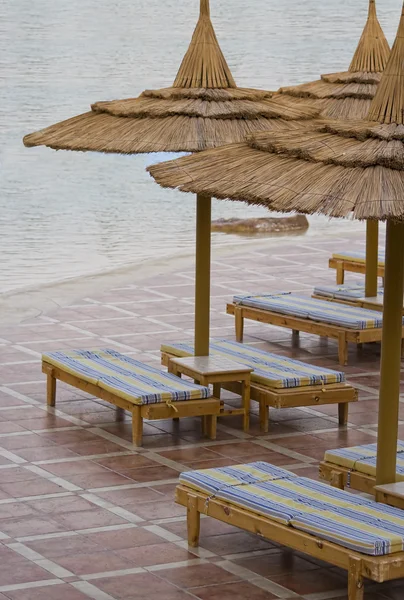 Camas de sol junto à piscina com guarda-sóis — Fotografia de Stock