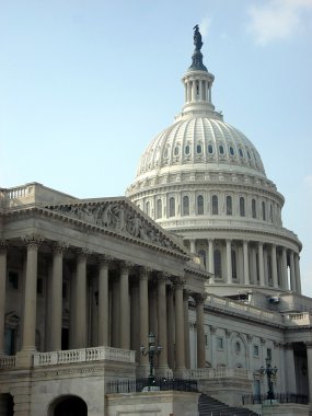 Government and Capitol Dome in Washingto clipart