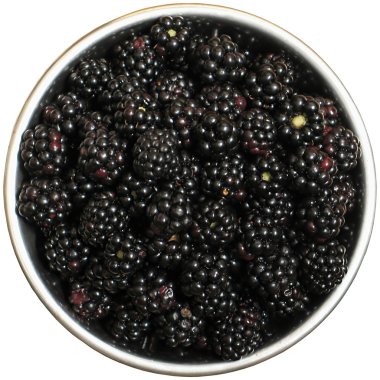 Blackberry in a dish clipart