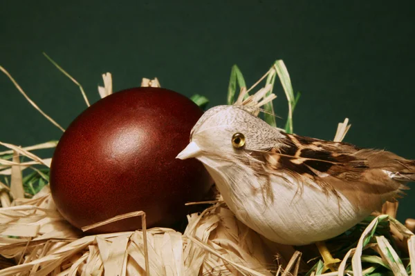 复活节彩蛋和一只鸟在巢中 — 图库照片