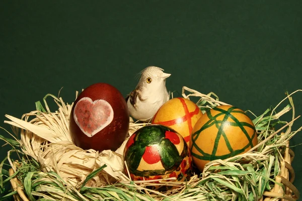 Oiseau dans le nid d'oeufs de Pâques — Photo