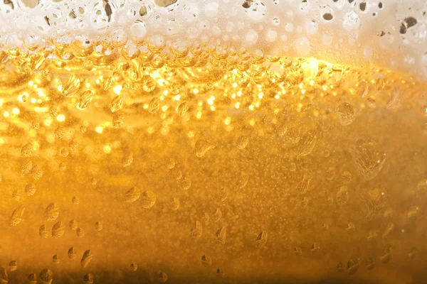 Beer Royalty Free Stock Photos