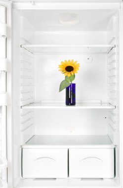 Flower vase in the refrigerator clipart