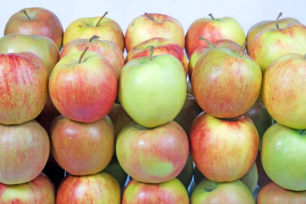 Groep van appels in een rij Stockafbeelding