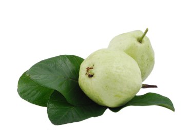 Guava