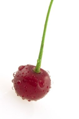 Morello cherry with drops clipart